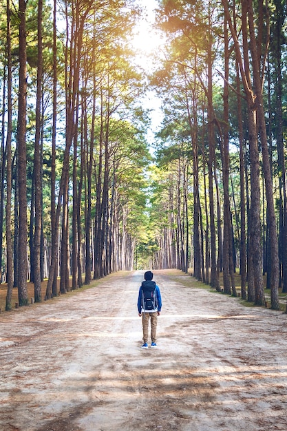 Hombre de senderismo con mochila caminando en el bosque.