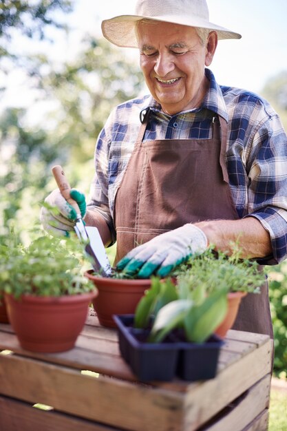 Hombre senior trabajando en el campo con plantas