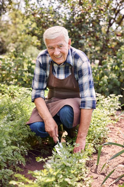 Hombre senior trabajando en el campo con plantas