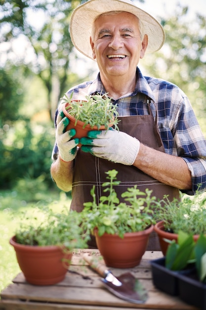 Hombre senior trabajando en el campo con plantas