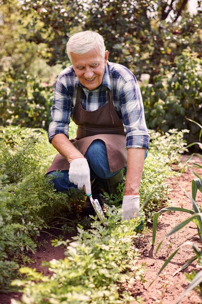 Hombre senior trabajando en el campo con plantas