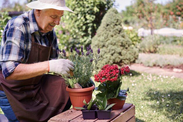 Hombre senior trabajando en el campo con plantas