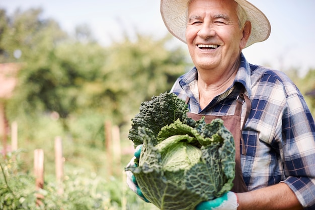 Hombre senior trabajando en el campo con verduras