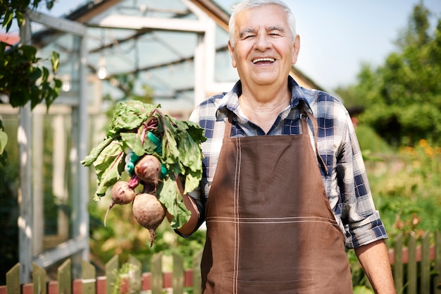 Hombre senior trabajando en el campo con verduras