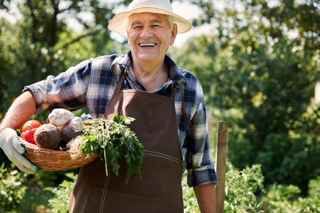 Hombre senior trabajando en el campo con verduras