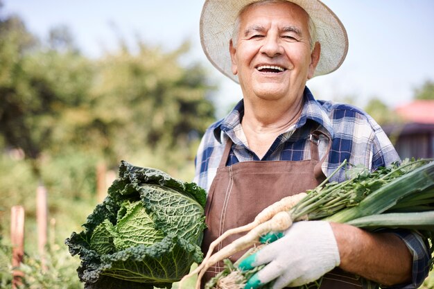 Hombre senior trabajando en el campo con verduras