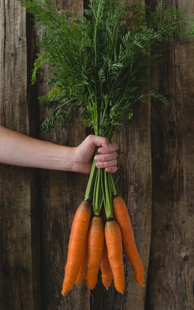 Hombre, tenencia, zanahorias