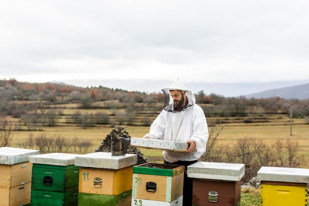 Hombre de tiro medio comprobando las abejas