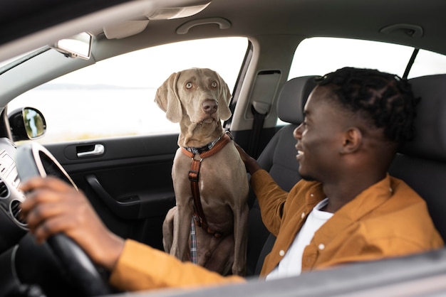 Hombre de tiro medio conduciendo con perro