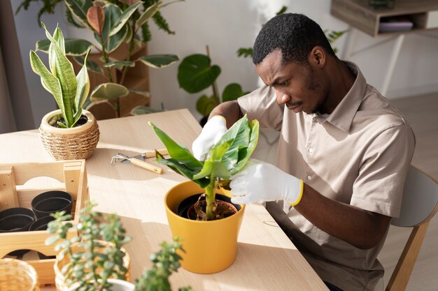 Hombre de tiro medio cuidando la planta.