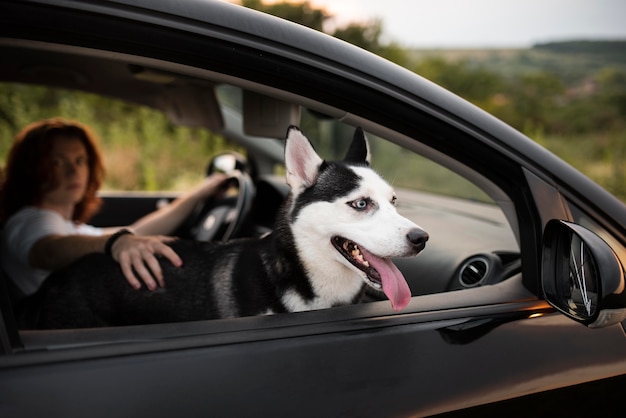 Hombre de tiro medio y perro en coche