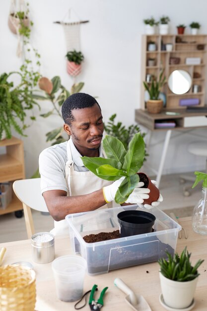 Hombre de tiro medio trasplantando planta en casa.