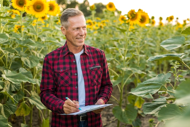 Hombre tomando avisos en un campo de girasol