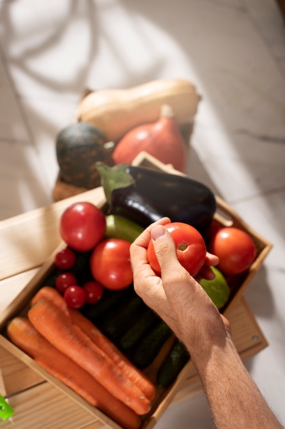 Foto gratuita hombre con vegetales que han sido cultivados y cultivados en interiores.