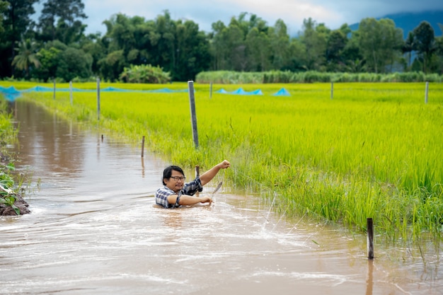 Los hombres agricultores pescan en el agua de la inundación en los arrozales