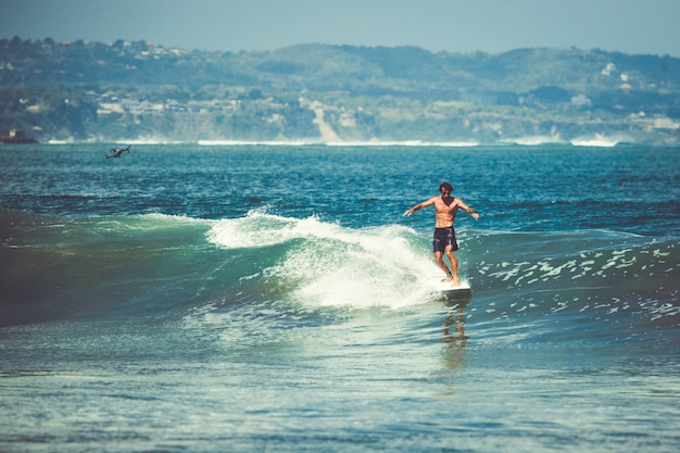 los hombres y las chicas están surfeando