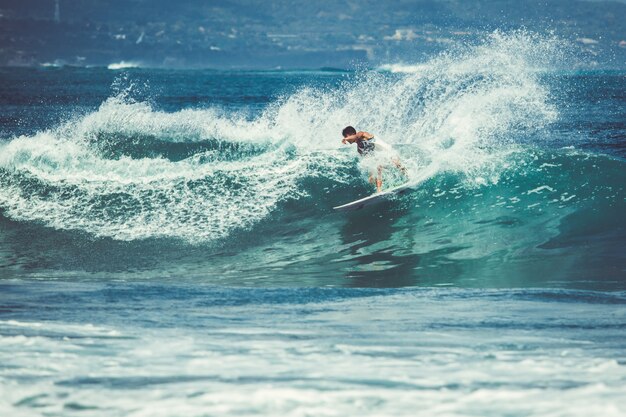 los hombres y las chicas están surfeando