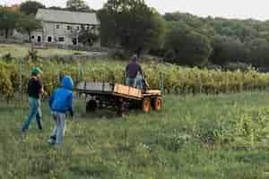 Foto gratuita hombres recogiendo uvas en el campo