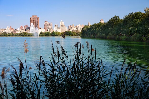 Horizonte de Central Park, la ciudad de Nueva York