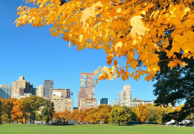 Horizonte del centro de Manhattan visto desde el parque central en otoño en la ciudad de Nueva York.
