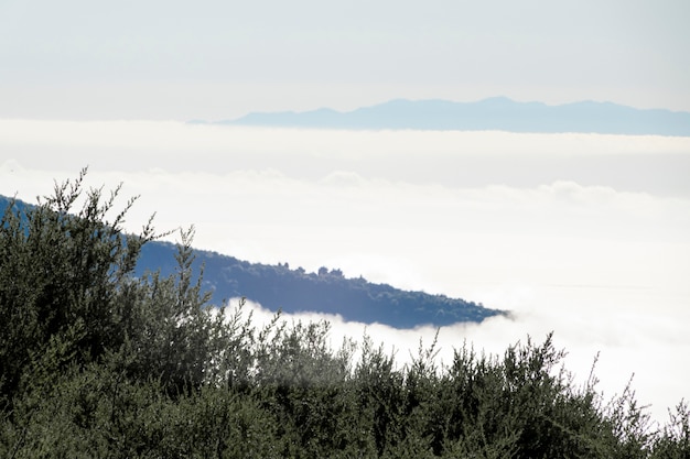 Horizonte de montaña sobre las nubes