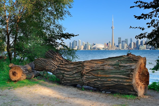 Foto gratuita horizonte de toronto desde el parque