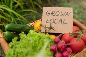 Foto gratuita hortalizas cultivadas localmente en canasta