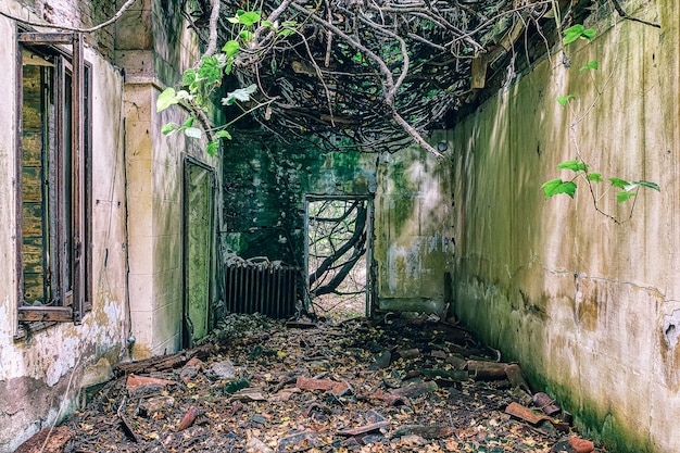 Foto gratuita hospital abandonado en poveglia