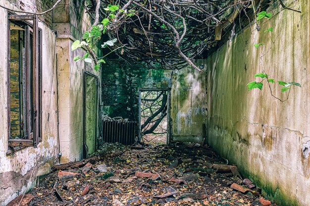 Hospital abandonado en Poveglia