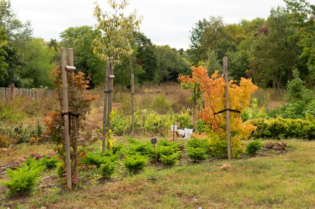 Huerto urbano con plantas cultivadas