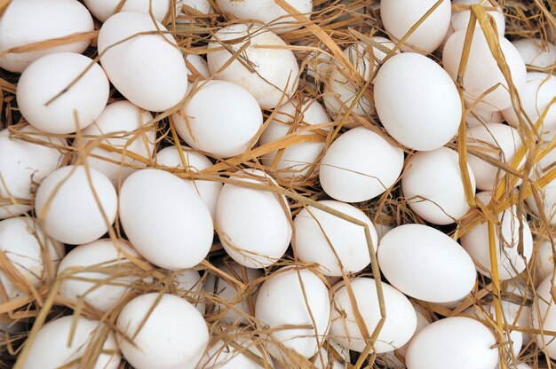 Huevos blancos en nido de heno en el mercado