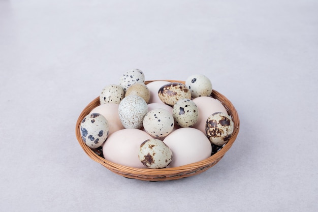 Huevos de codorniz y huevos de gallina en un recipiente sobre una superficie blanca.