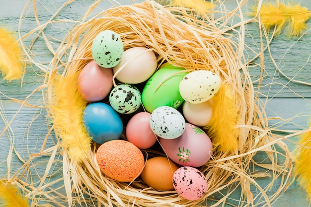 Huevos de colores en el nido