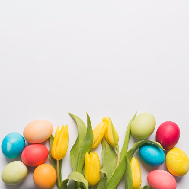 Huevos de colores y tulipanes