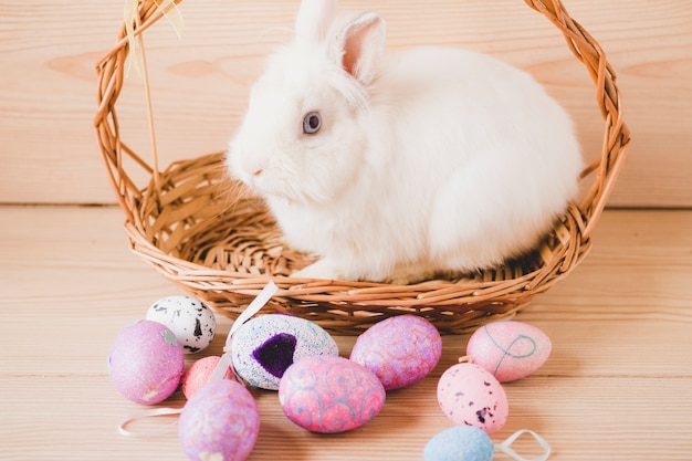 Huevos encantadores cerca de conejo en la cesta
