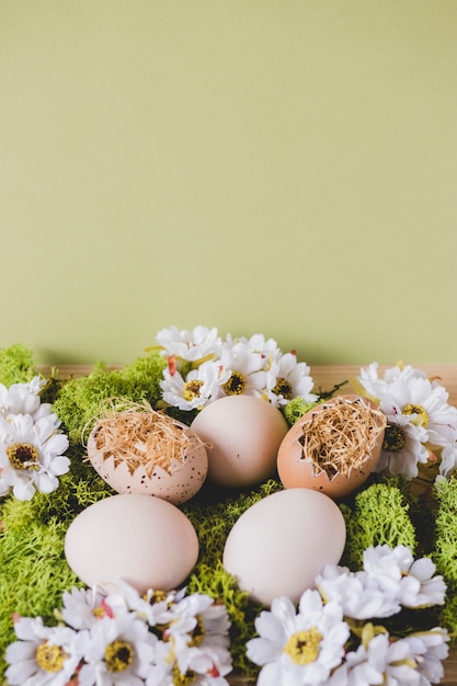 Foto gratuita huevos y flores en verde