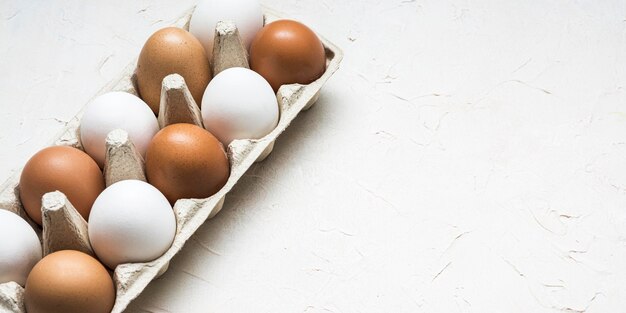 Huevos de gallina de alto ángulo con espacio de copia
