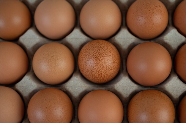 Huevos de gallina colocados en una bandeja de huevos. De cerca.
