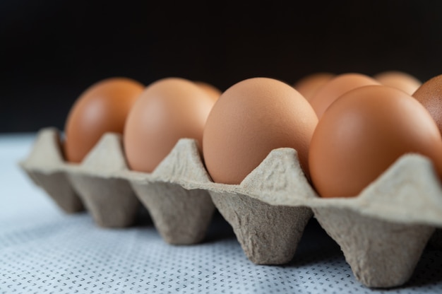 Huevos de gallina colocados en una bandeja de huevos. De cerca.