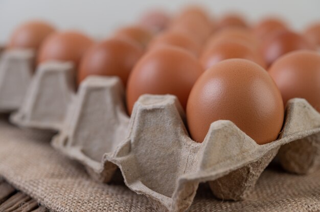 Huevos de gallina cruda comida orgánica para una buena salud alta en proteínas.