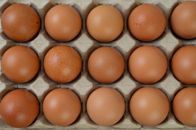 Huevos de gallina cruda comida orgánica para una buena salud alta en proteínas.