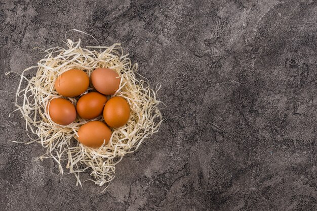 Huevos de gallina marrón en nido en mesa