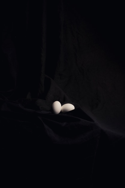 Huevos de gallina entre material oscuro.