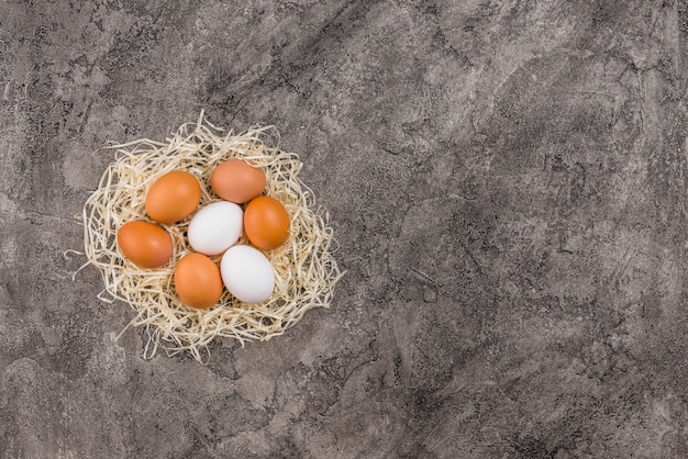 Huevos de gallina en nido en mesa gris