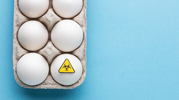 Huevos modificados con productos químicos modificados genéticamente