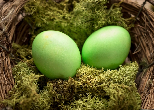 Foto gratuita huevos de pascua de color verde y pasto