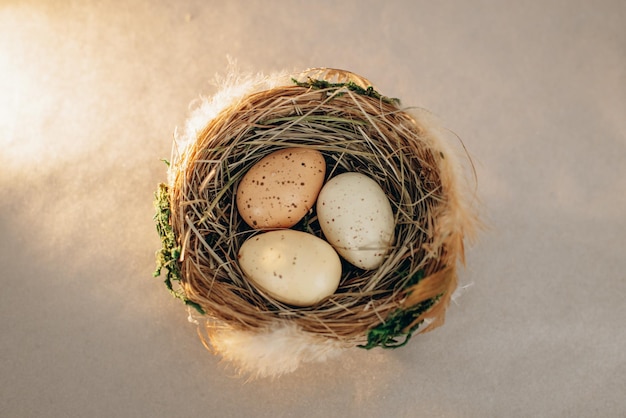 Foto gratuita huevos de pascua en un nido sobre un fondo