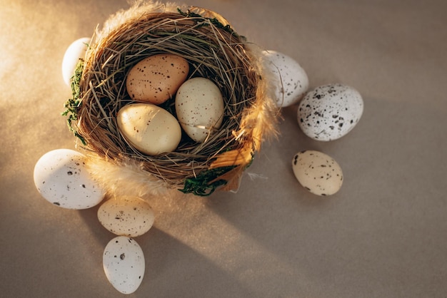 Huevos de Pascua en un nido sobre un fondo