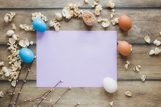 Huevos y pétalos cerca del papel