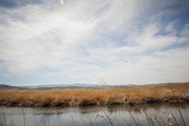 Humedales con vegetación de pantano en ruta Mammoth en Padul, Granada, Andalucía, España